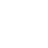 Global Exposure and International Linkages Icon